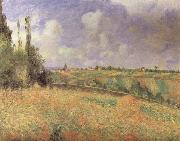 Camille Pissarro Rye Fields at Pontoise oil painting artist